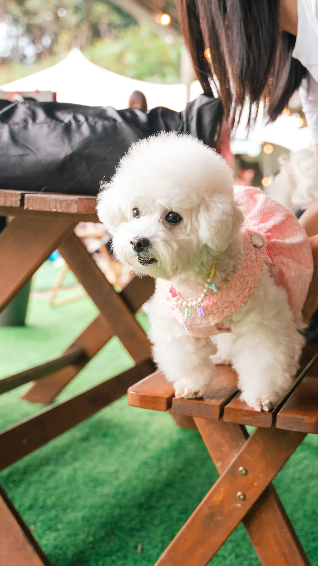 pet2u-event-wedding-costumes-vertical-gallery-6