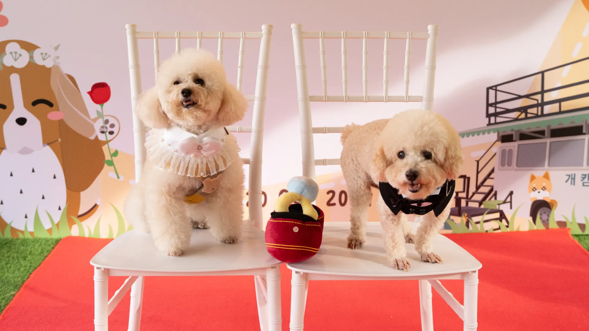 pet2u-event-wedding-gallery-2