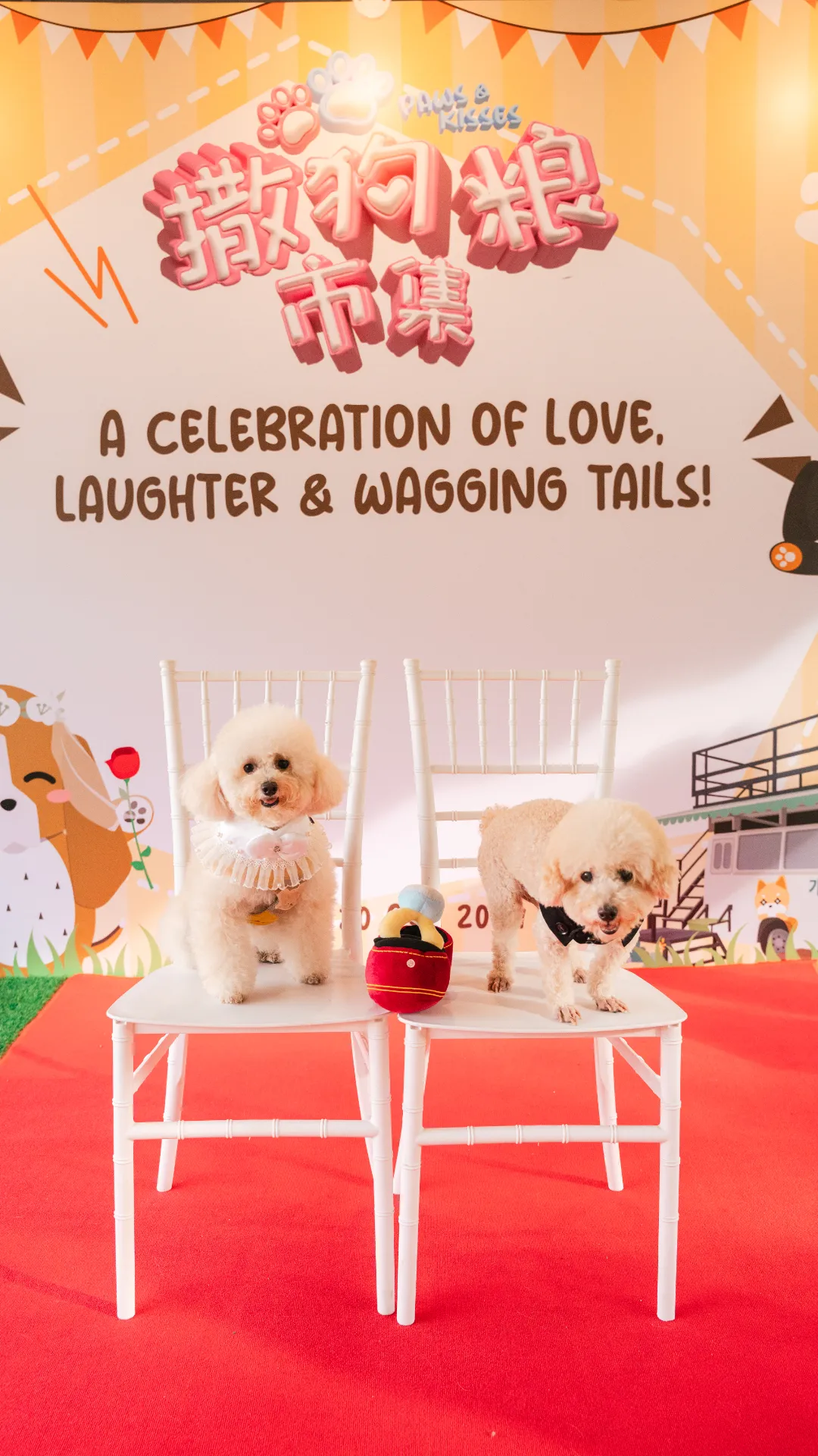 pet2u-event-wedding-gallery-vertical-15